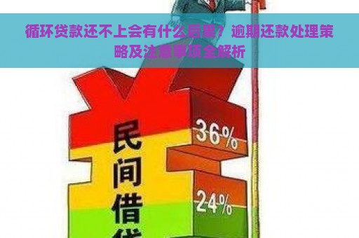 循环贷款还不上会有什么后果？逾期还款处理策略及注意事项全解析