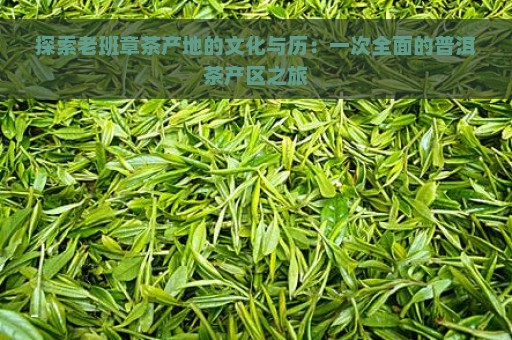 探索老班章茶产地的文化与历：一次全面的普洱茶产区之旅