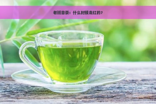 老班章茶：什么时候走红的？