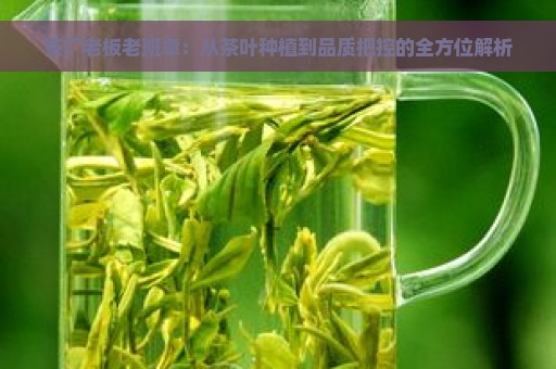 茶厂老板老班章：从茶叶种植到品质把控的全方位解析