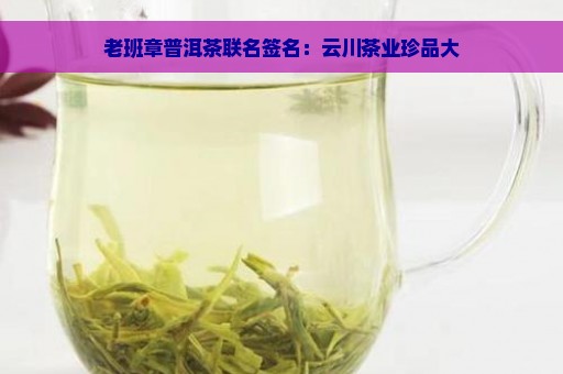 老班章普洱茶联名签名：云川茶业珍品大