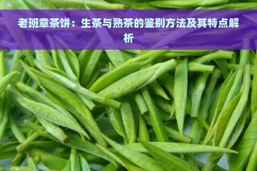 老班章茶饼：生茶与熟茶的鉴别方法及其特点解析