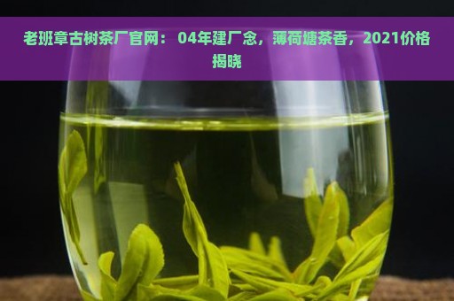 老班章古树茶厂官网： 04年建厂念，薄荷塘茶香，2021价格揭晓