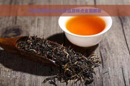 江老班章茶叶分类及品质特点全面解析