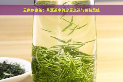 云南冰岛茶：普洱茶中的珍贵之选与独特风味