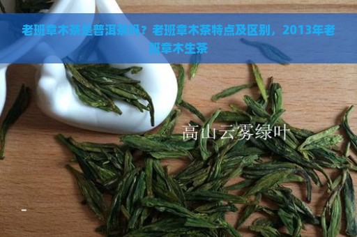 老班章木茶是普洱茶吗？老班章木茶特点及区别，2013年老班章木生茶