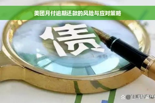 美团月付逾期还款的风险与应对策略