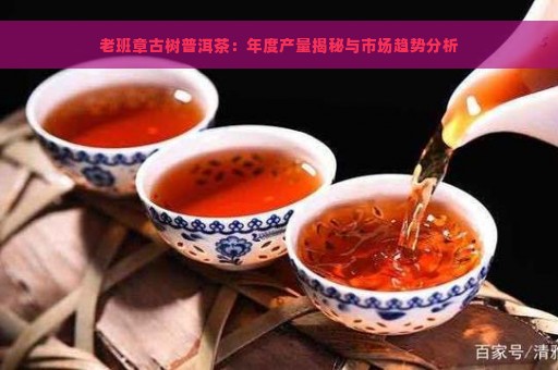 老班章古树普洱茶：年度产量揭秘与市场趋势分析