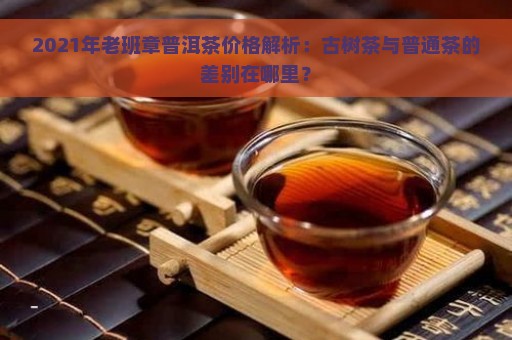 2021年老班章普洱茶价格解析：古树茶与普通茶的差别在哪里？