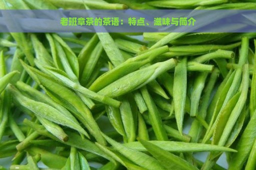 老班章茶的茶语：特点、滋味与简介