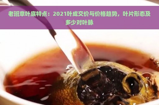 老班章叶底特点：2021叶成交价与价格趋势，叶片形态及多少对叶脉