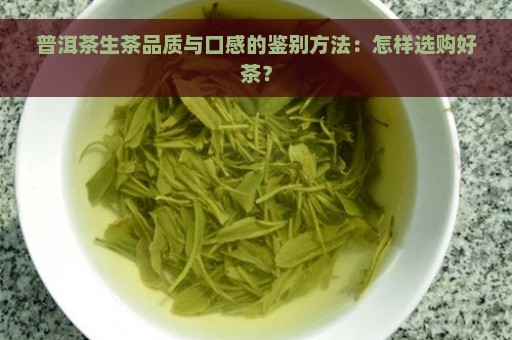 普洱茶生茶品质与口感的鉴别方法：怎样选购好茶？