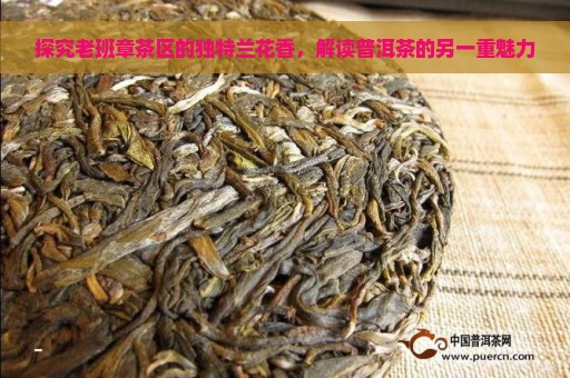 探究老班章茶区的独特兰花香，解读普洱茶的另一重魅力