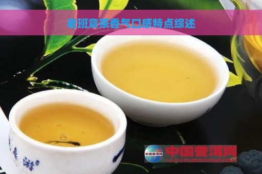 老班章茶香气口感特点综述