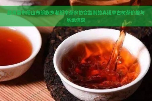 勐海县布朗山布朗族乡老班章茶农协会监制的真班章古树茶价格与基地信息