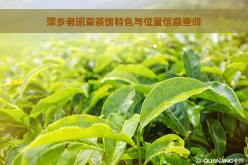 萍乡老班章茶馆特色与位置信息查询