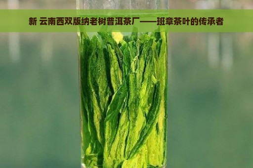 新 云南西双版纳老树普洱茶厂——班章茶叶的传承者