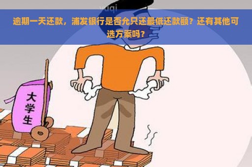 逾期一天还款，浦发银行是否允只还最低还款额？还有其他可选方案吗？