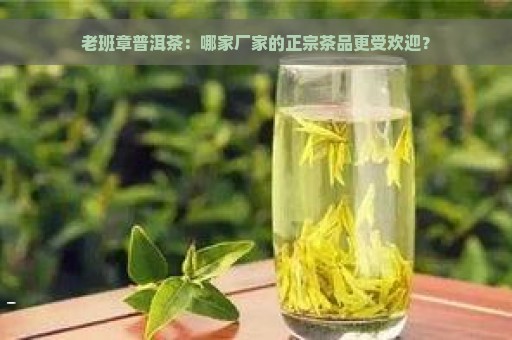 老班章普洱茶：哪家厂家的正宗茶品更受欢迎？