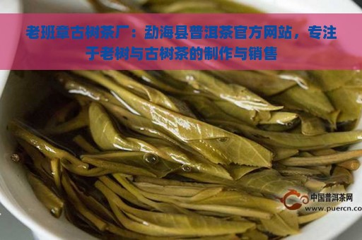 老班章古树茶厂：勐海县普洱茶官方网站，专注于老树与古树茶的制作与销售