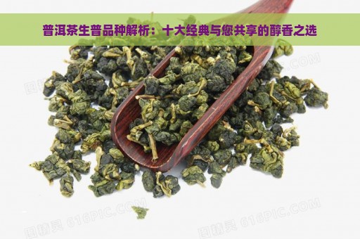 普洱茶生普品种解析：十大经典与您共享的醇香之选