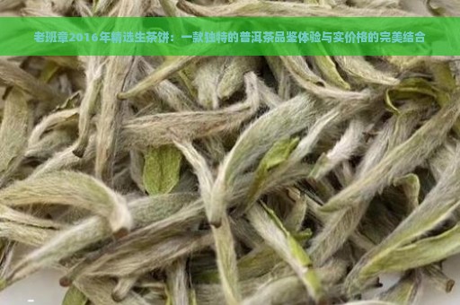 老班章2016年精选生茶饼：一款独特的普洱茶品鉴体验与实价格的完美结合