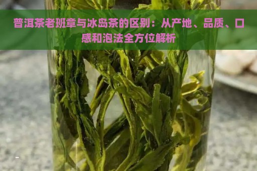 普洱茶老班章与冰岛茶的区别：从产地、品质、口感和泡法全方位解析