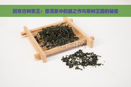 班章古树茶王：普洱茶中的越之作与茶树王国的秘密