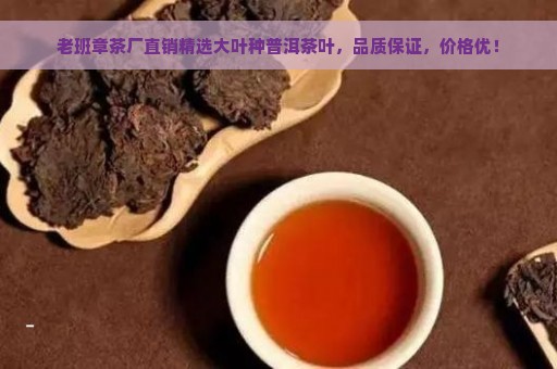 老班章茶厂直销精选大叶种普洱茶叶，品质保证，价格优！