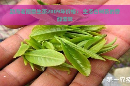 勐海老班章生茶2009年价格： 生态古树茶的香醇滋味