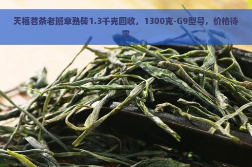 天福茗茶老班章熟砖1.3千克回收，1300克-G9型号，价格待定