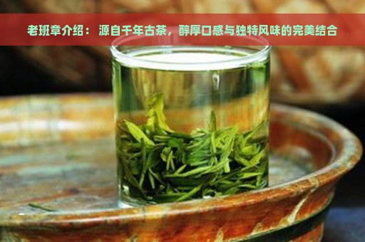 老班章介绍： 源自千年古茶，醇厚口感与独特风味的完美结合