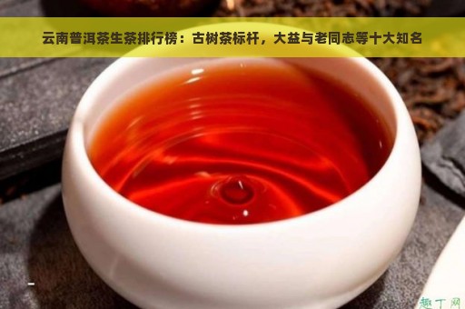 云南普洱茶生茶排行榜：古树茶标杆，大益与老同志等十大知名