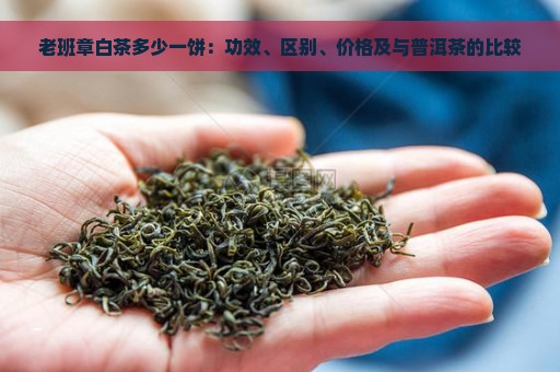 老班章白茶多少一饼：功效、区别、价格及与普洱茶的比较