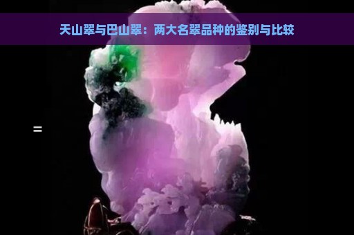 天山翠与巴山翠：两大名翠品种的鉴别与比较