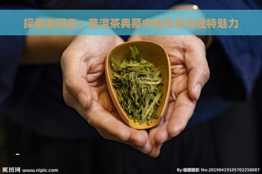 探索老班章：普洱茶典藏中的贡品与独特魅力