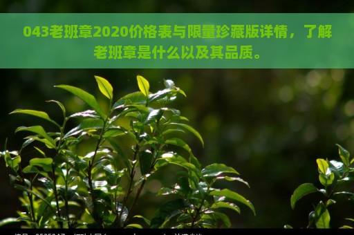 043老班章2020价格表与限量珍藏版详情，了解老班章是什么以及其品质。