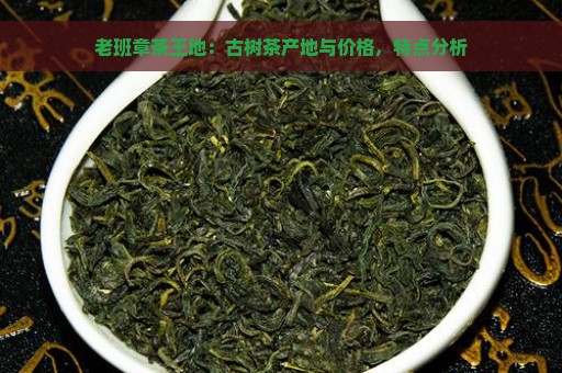 老班章茶王地：古树茶产地与价格，特点分析