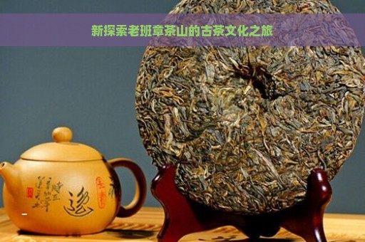 新探索老班章茶山的古茶文化之旅