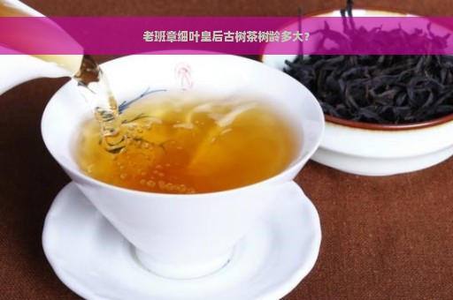 老班章细叶皇后古树茶树龄多大？