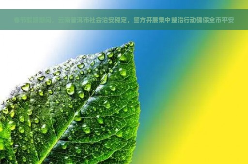 春节假期期间，云南普洱市社会治安稳定，警方开展集中整治行动确保全市平安