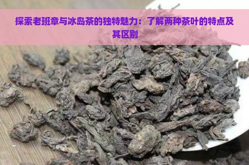 探索老班章与冰岛茶的独特魅力：了解两种茶叶的特点及其区别