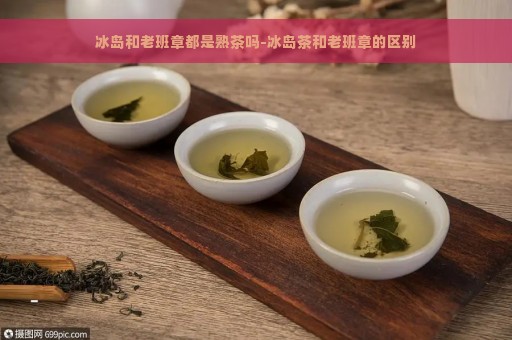 冰岛和老班章都是熟茶吗-冰岛茶和老班章的区别