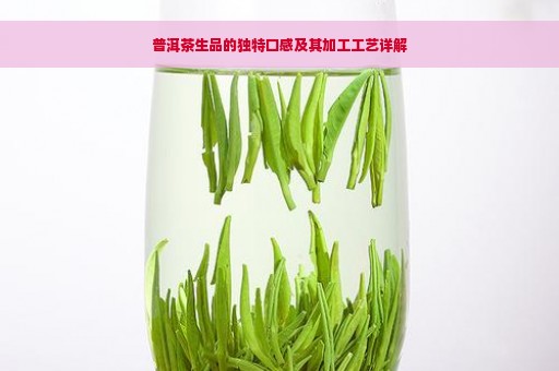 普洱茶生品的独特口感及其加工工艺详解