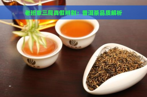 老班章三爬真假辨别：普洱茶品质解析