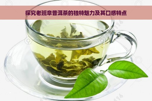 探究老班章普洱茶的独特魅力及其口感特点