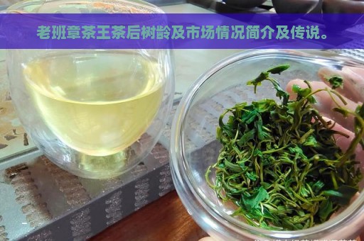 老班章茶王茶后树龄及市场情况简介及传说。