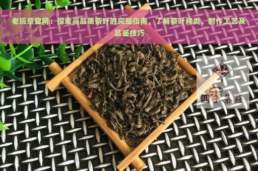 老班章官网：探索高品质茶叶的完整指南，了解茶叶种类、制作工艺及品鉴技巧