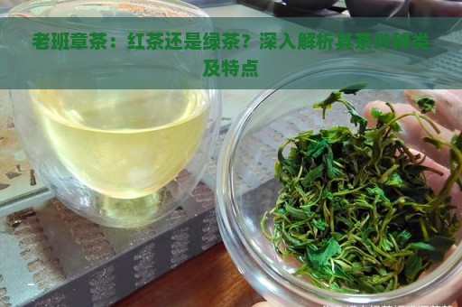 老班章茶：红茶还是绿茶？深入解析其茶叶种类及特点