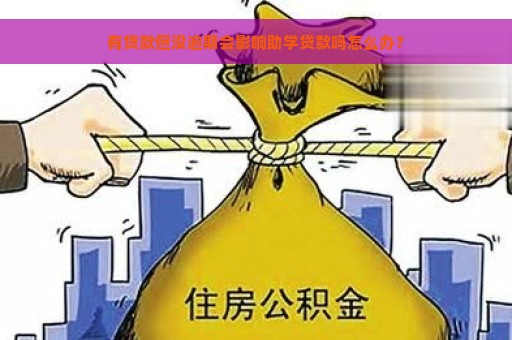 有贷款但没逾期会影响助学贷款吗怎么办？